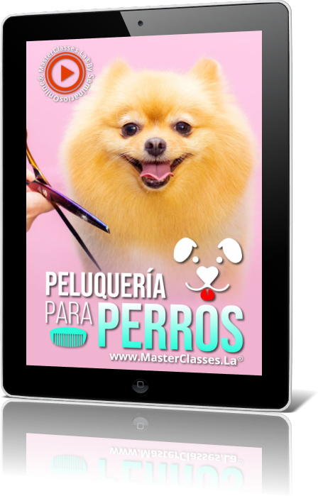 Course iPad