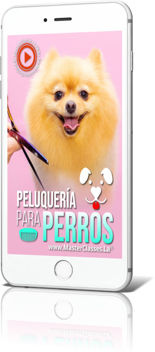 Course iPhone